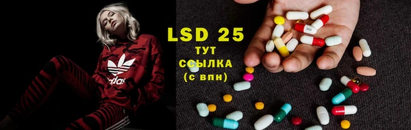 спайс Вязьма