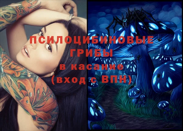 Альфа ПВП Володарск