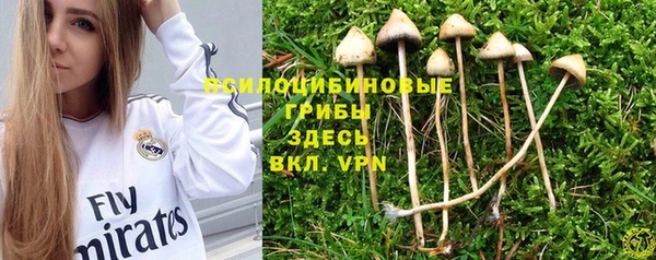 Альфа ПВП Володарск