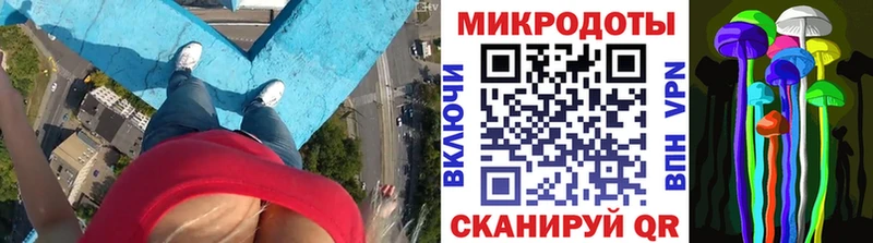 Галлюциногенные грибы прущие грибы  купить закладку  Камбарка 